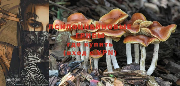 круглые Абдулино