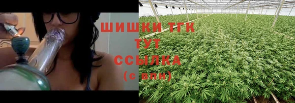 тгк Абинск