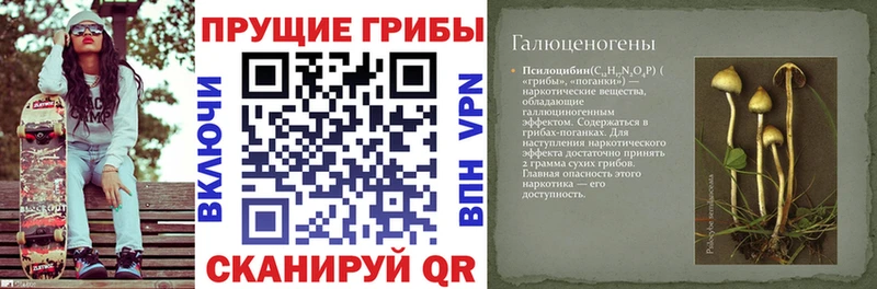 Псилоцибиновые грибы мухоморы  закладки  Альметьевск 
