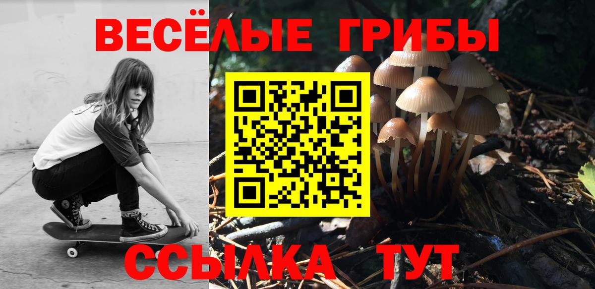 Галлюциногенные грибы Psilocybine cubensis Альметьевск