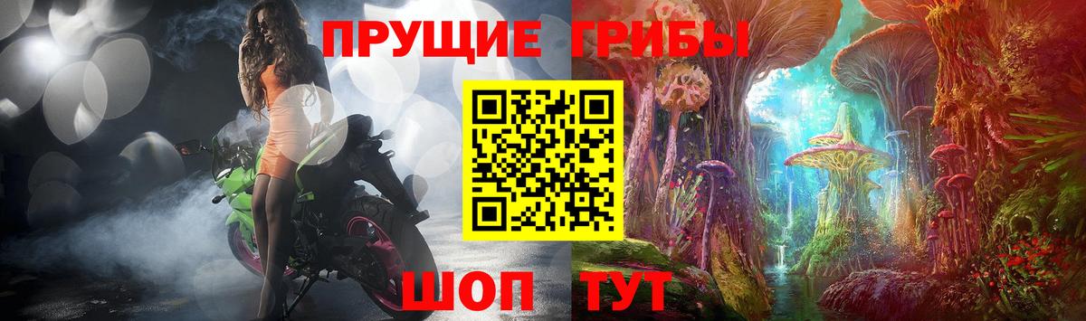 Альметьевск  Псилоцибиновые грибы Psilocybine cubensis  где можно купить наркотик  Вход с VPN 