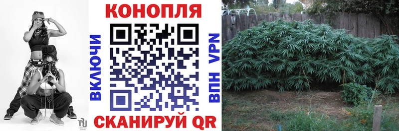 Канабис SATIVA & INDICA Альметьевск