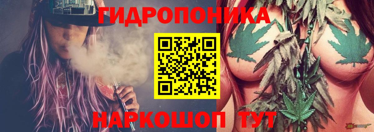 Альметьевск  Бошки марихуана план  Бошки марихуана Bruce Banner  Вход с VPN  Конопля OG Kush 